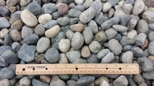 Filter Gravel 1½ x ¾ Inch (2)